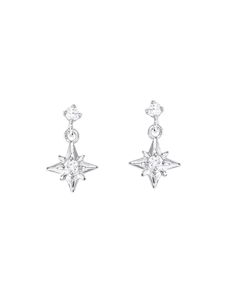 Boucles D'oreilles Argent