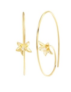 Boucles D'oreilles Argent Oxydes