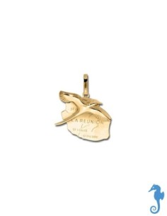 Pendentif Or île De La Réunion Paille En Queue