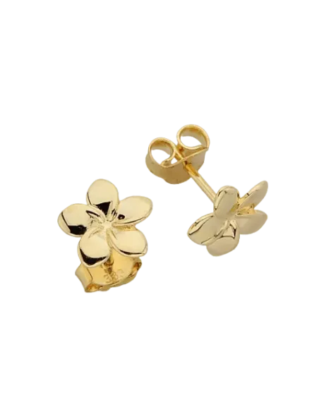 Boucles D'oreilles Argent Teinte Hibiscus